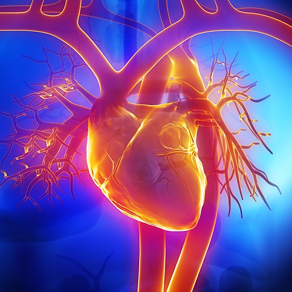 Comprehensive Heart Evaluations
