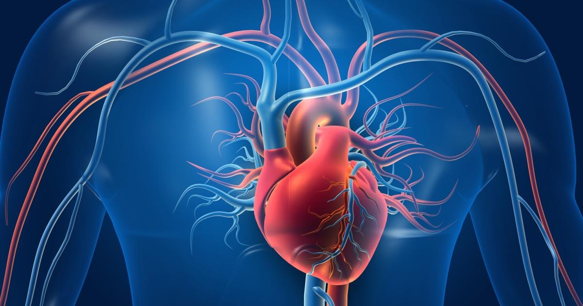 Cardiac Imaging